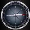 Magnetic compass