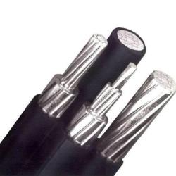 Self supporting insulated conductor