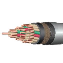Control cable