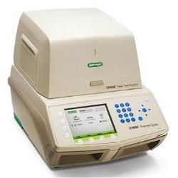 Thermal cycler
